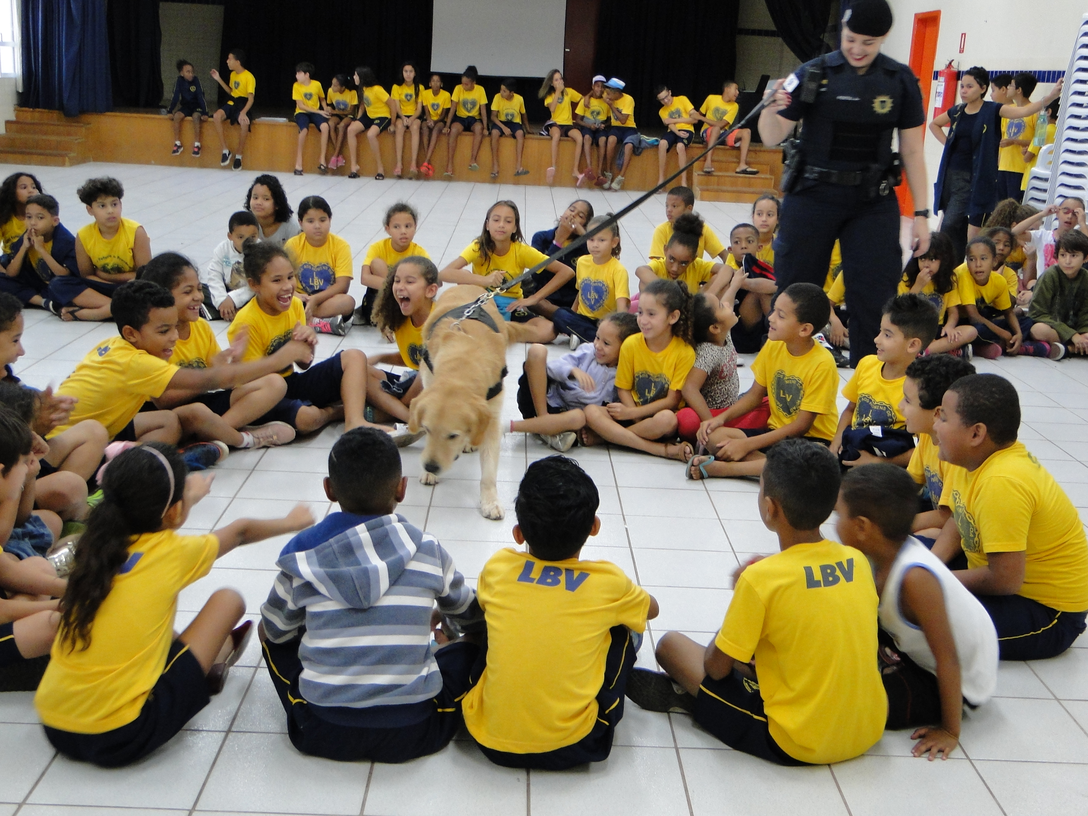 Crianças observaram habilidades e disciplina dos animais