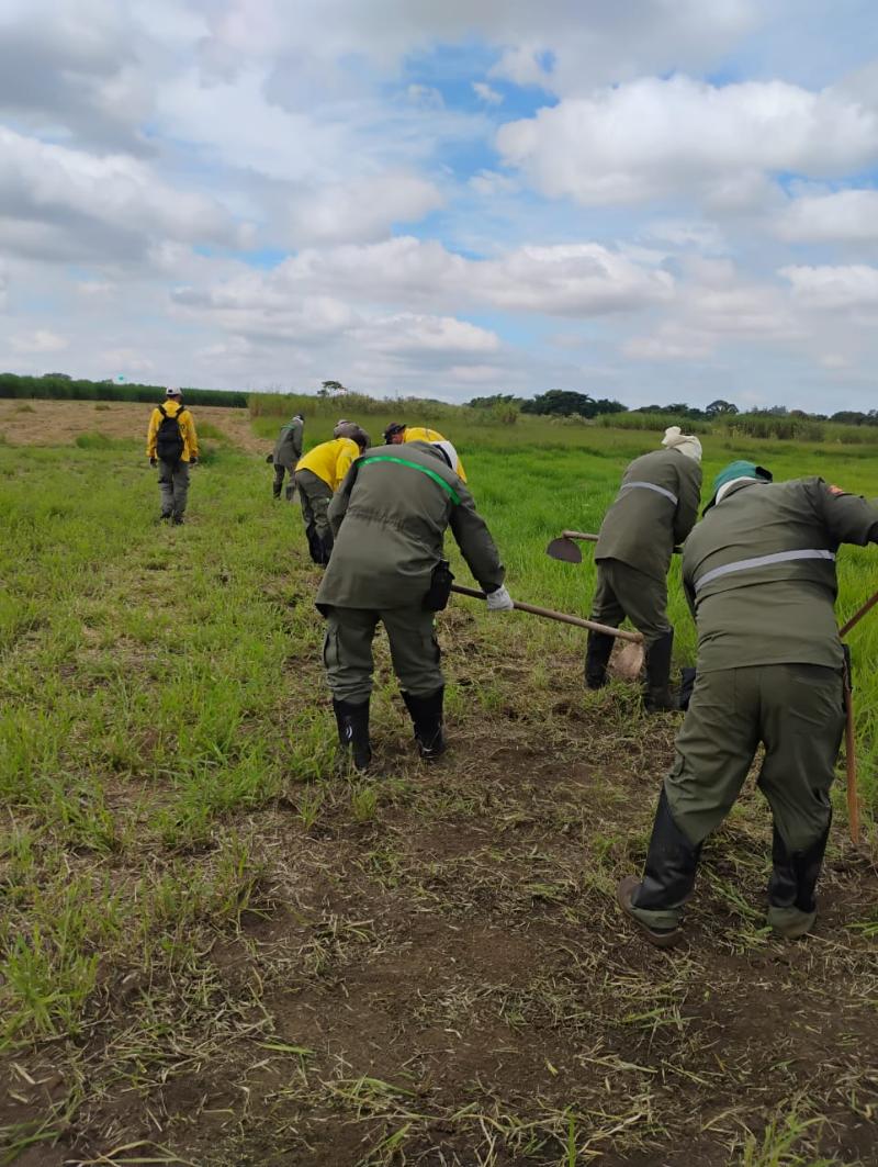 Abertura de aceiros é arma importante no combate ao fogo