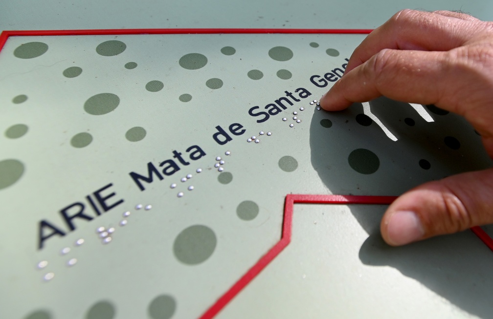 A capacitação tem como objetivo reforçar a prevenção e a resposta rápida a incêndios na unidade de conservação ambiental