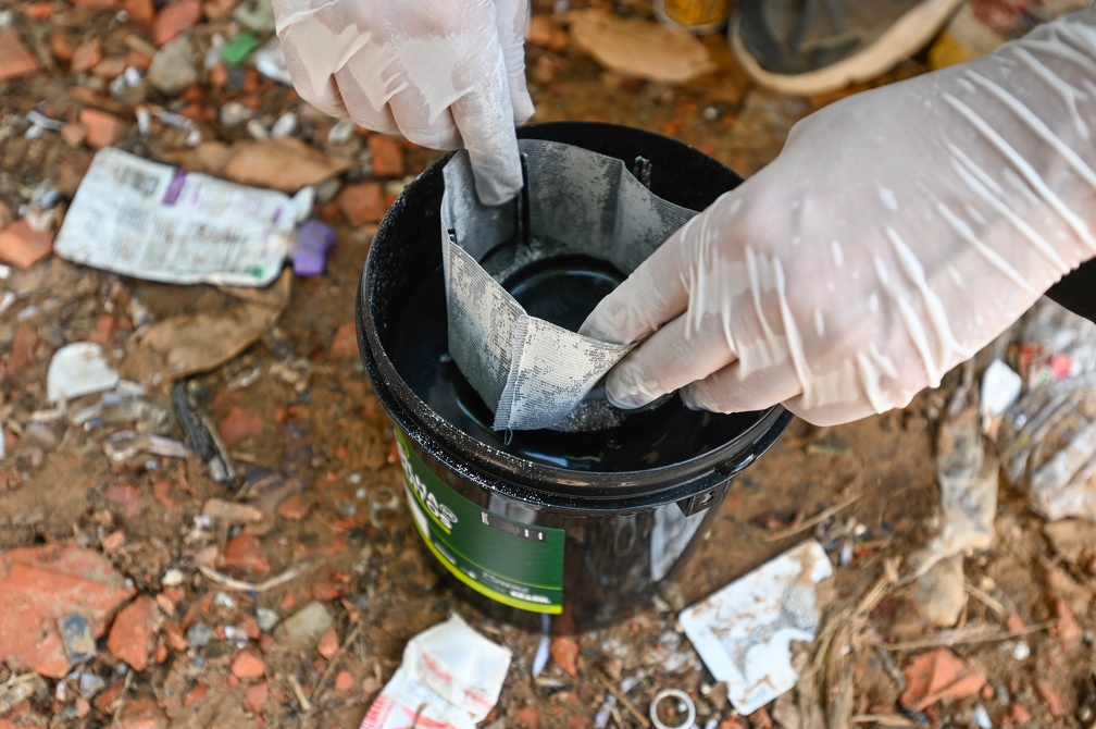 Instalação de armadilhas com larvicida é uma das estratégias para combate à dengue em Campinas