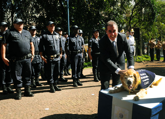 Ganhou até afago do prefeito