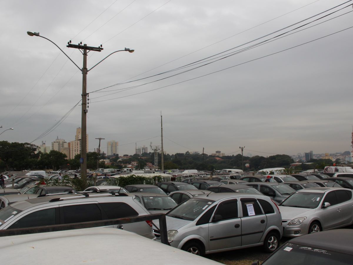 São 332 veículos, sendo 52 com documentação e 280 de desmanche