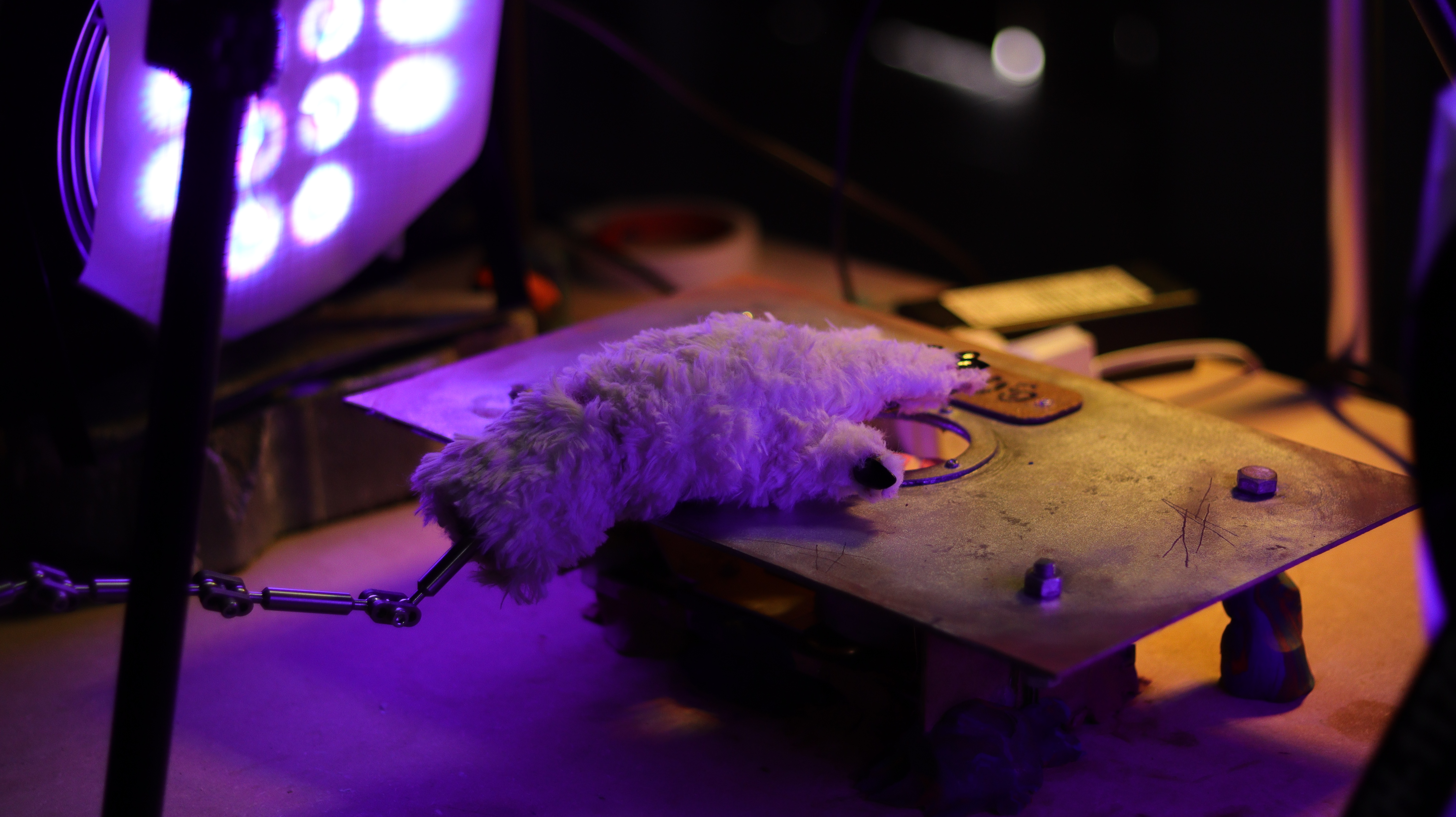 O curta metragem foi premiado em diversos festivais internacionais