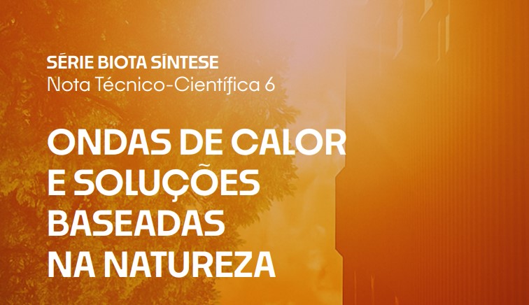 Dias quentes e secos necessitam de cuidados especiais