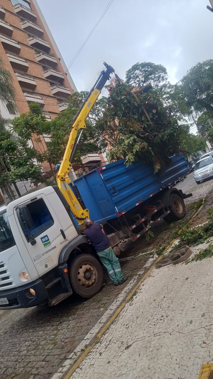 Equipes da Prefeitura trabalhando na retirada de galho de árvore na rua Joaquim Novaes