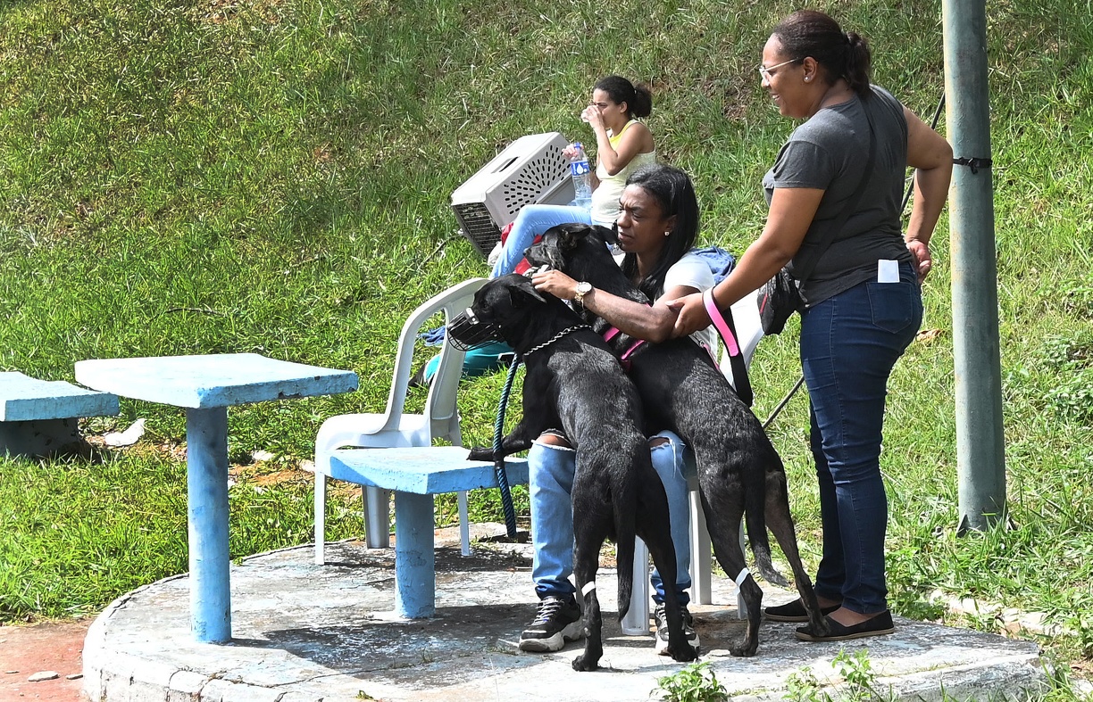 Sistema tem opções inclusive para o fim de semana