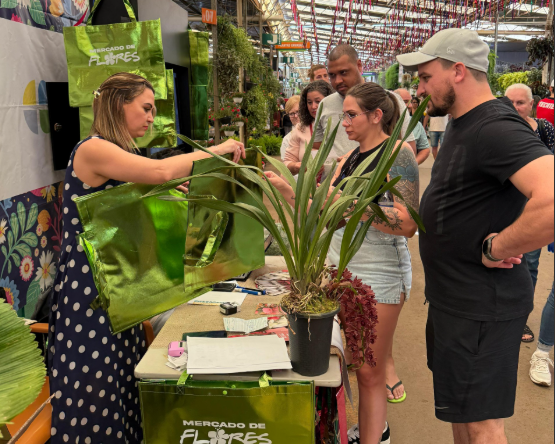 As orquídeas são sempre uma grande atração nas compras