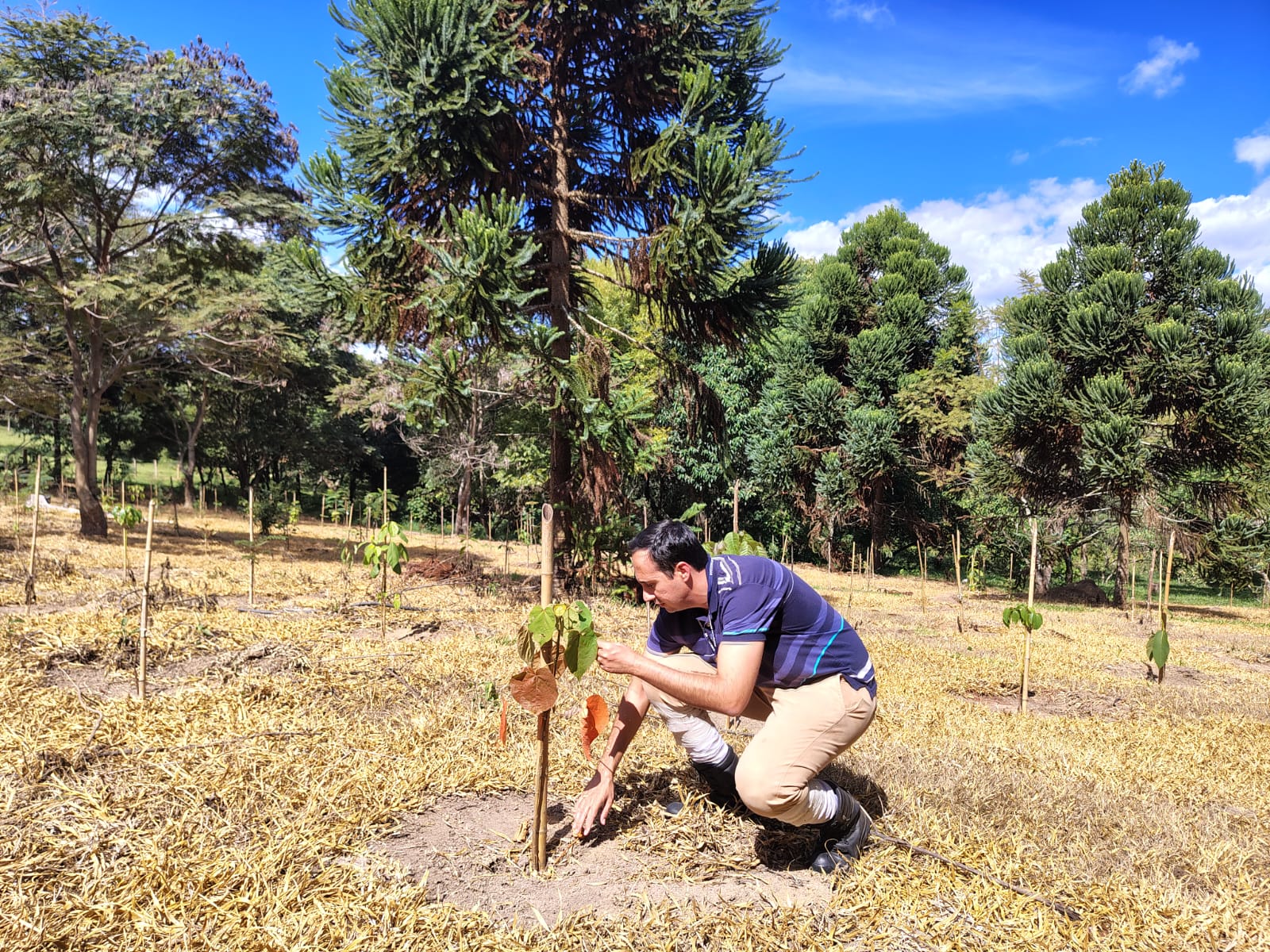 Ao reunir sociedade civil, ativistas, gestores públicos e especialistas, o evento promove reflexões profundas e articulações estratégicas no enfrentamento da discriminação e no fortalecimento de direitos
