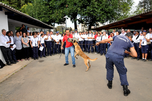 Em 2012, 18 trabalhadores foram mordidos