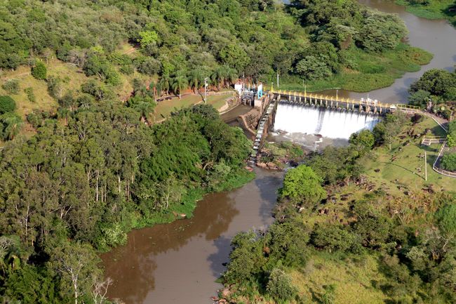Vegetação começa a se recuperar
