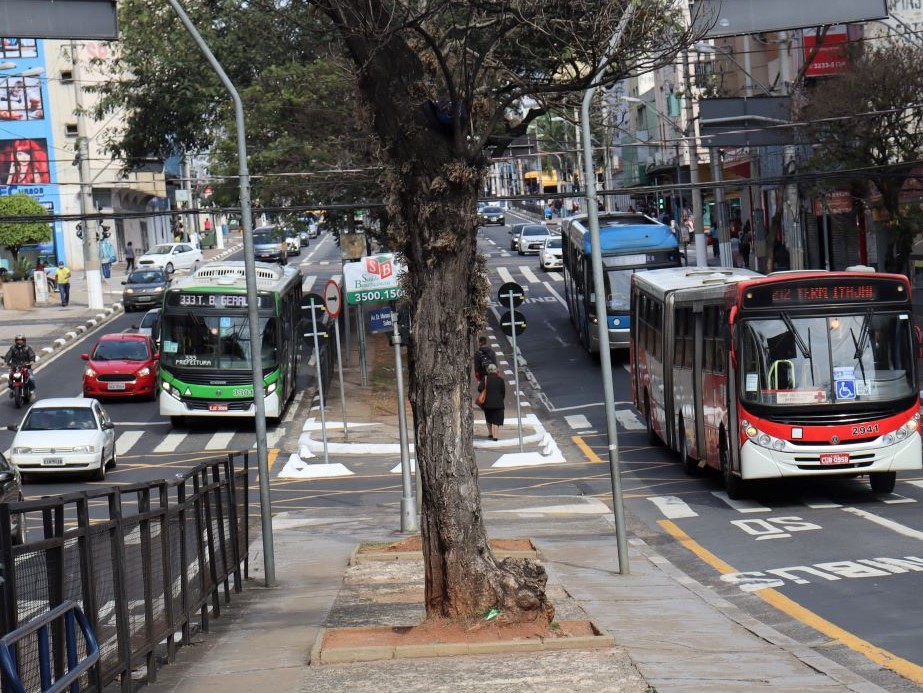 Consulta de linhas municipais pode ser feita em https://portal.emdec.com.br/consultalinha