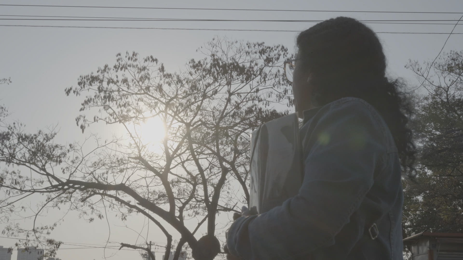 O filme acompanha a trajetória de Rose, uma diarista do interior de São Paulo que, há quase quatro décadas, convive com a dor de ter sido separada de seus dois irmãos biológicos, que foram adotados