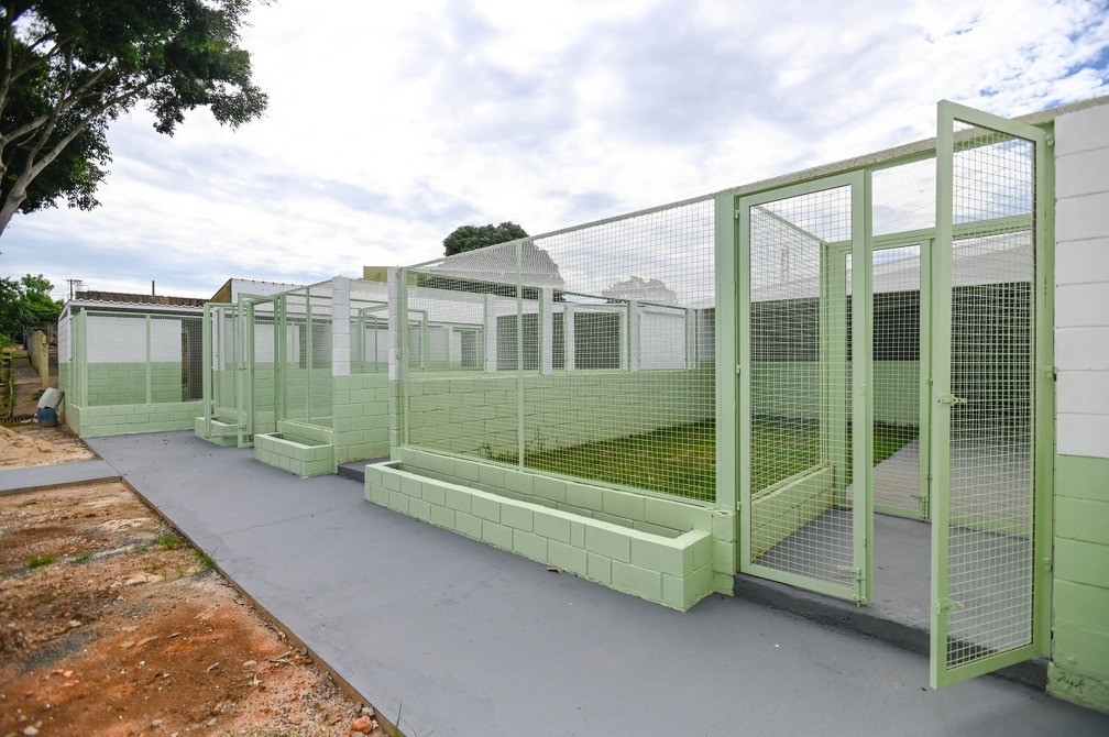 Novos gatis, com 118,7 metros quadrados cada, têm solário e área gramada