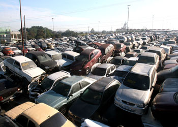Carros apreendidos no Pátio Municipal para leião