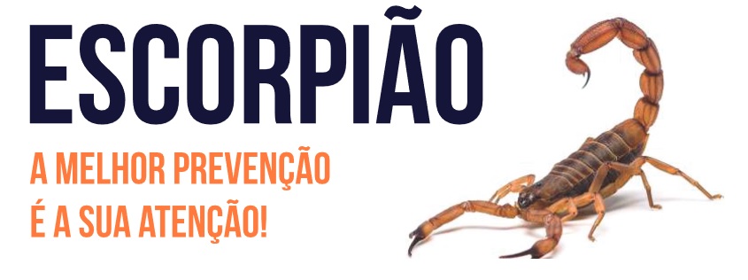 Ação tem por objetivo conscientizar sobre as medidas necessárias para minimizar ou até mesmo evitar o aparecimento desses animais