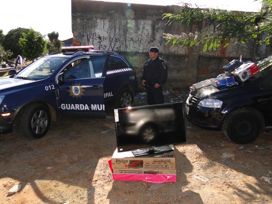 Produtos apreendidos