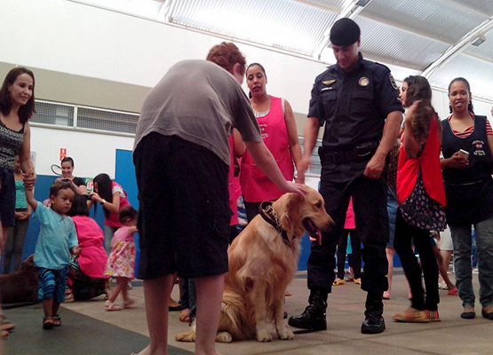 Até os mais velhos vibraram