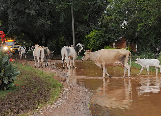 Região do Piracambaia