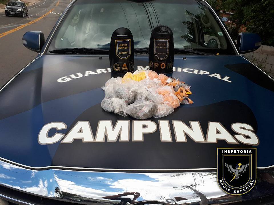 GM realiza apreensão de drogas 