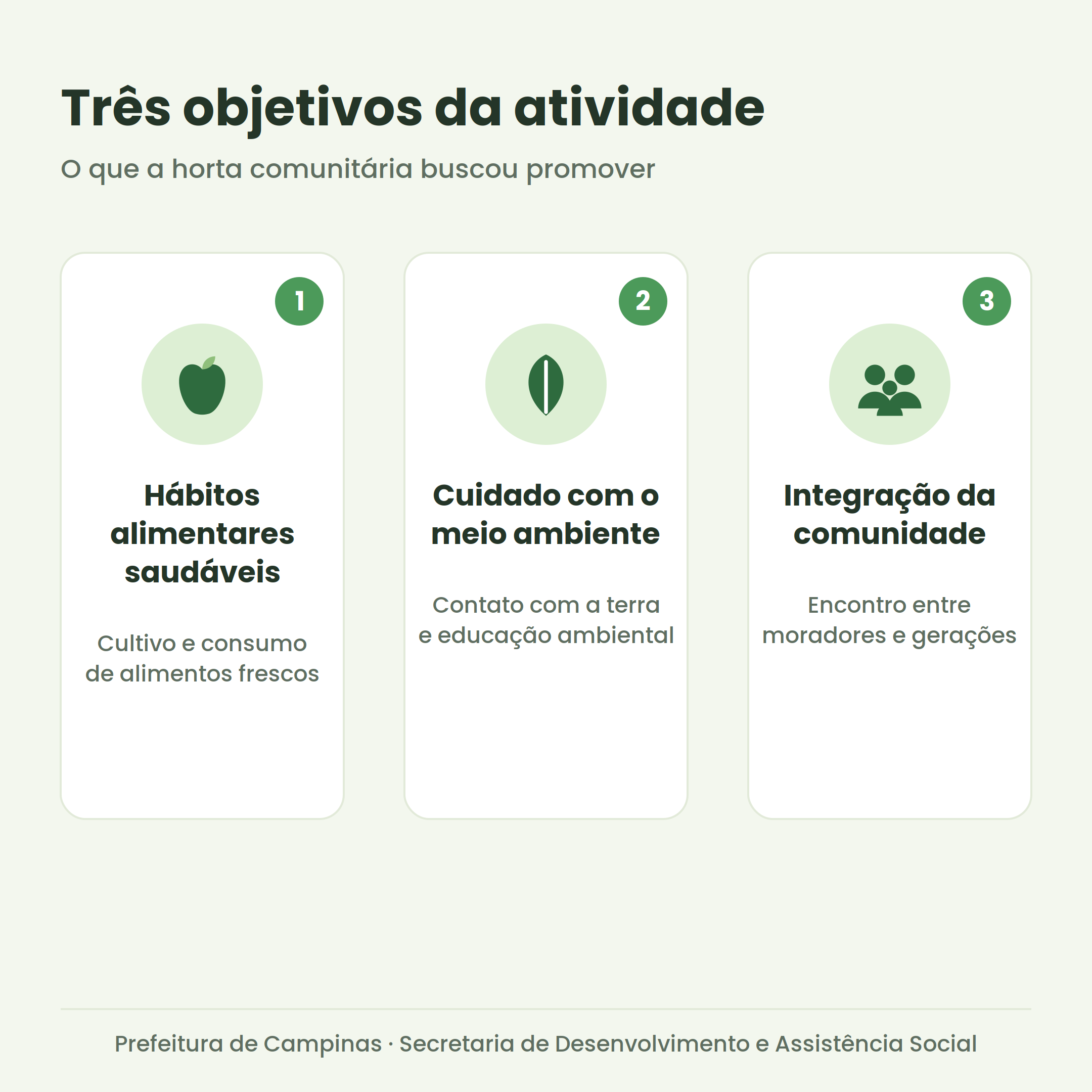 O cultivo da horta vem alcançando seus objetivos