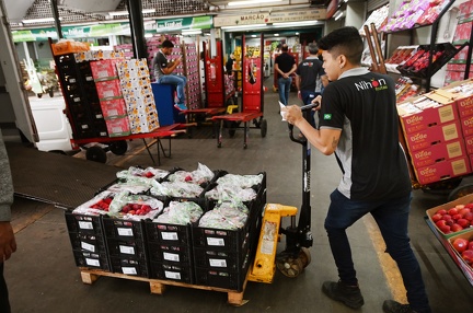 Parceria garante que alimentos em bom estado como frutas, verduras e legumes sejam direcionados a famílias que enfrentam insegurança alimentar moderada ou grave