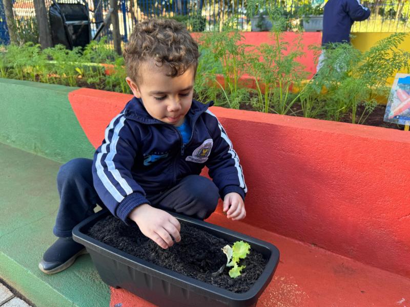 Pedro Macedo coloca toda a sabedoria dos seus dois anos no cultivo da mudinha
