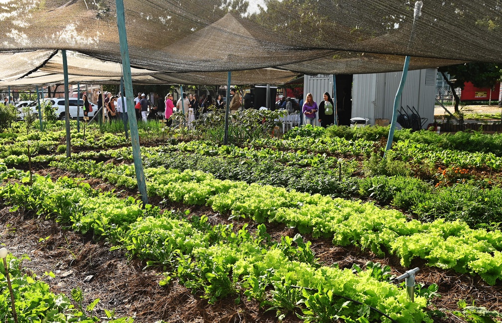 Produção da terra reforça a alimentação com produtos saudáveis
