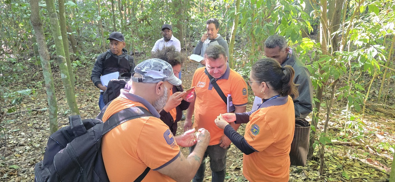 Alunos aprendem sobre coleta de sementes e plantio de árvores nativas