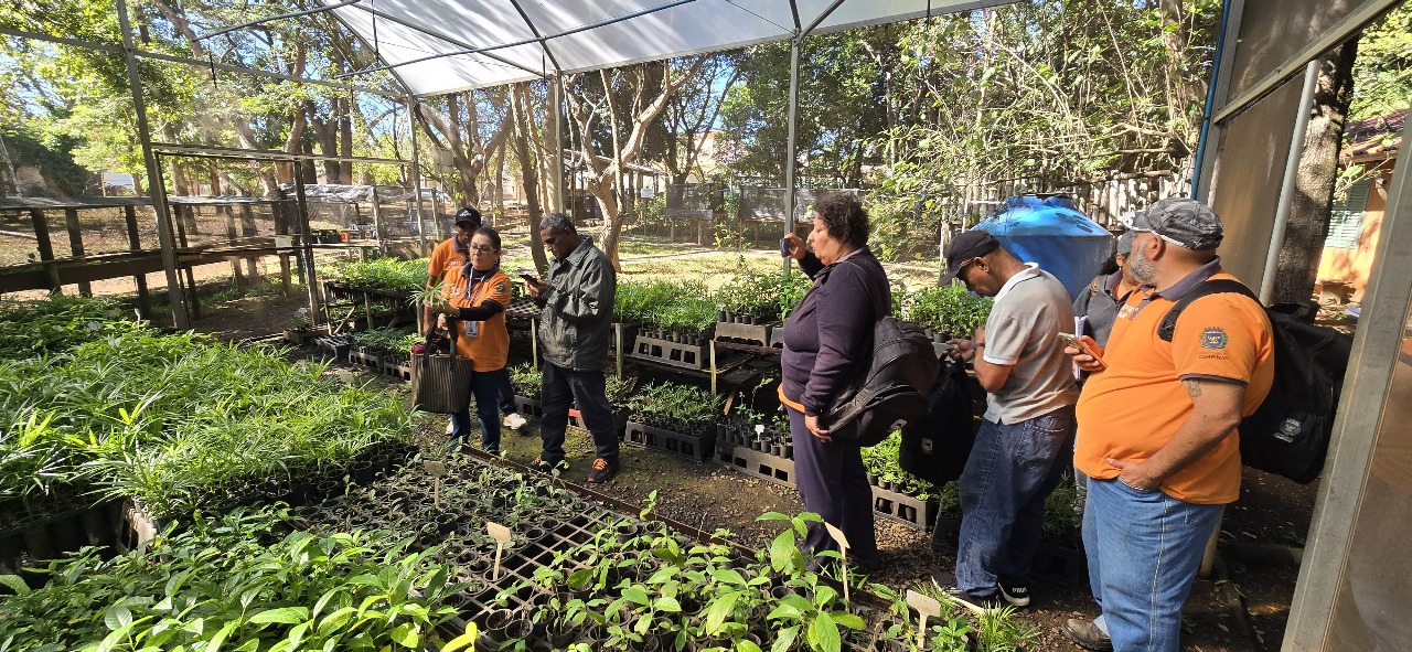 Grupo conheceu o viveiro de mudas nativas 