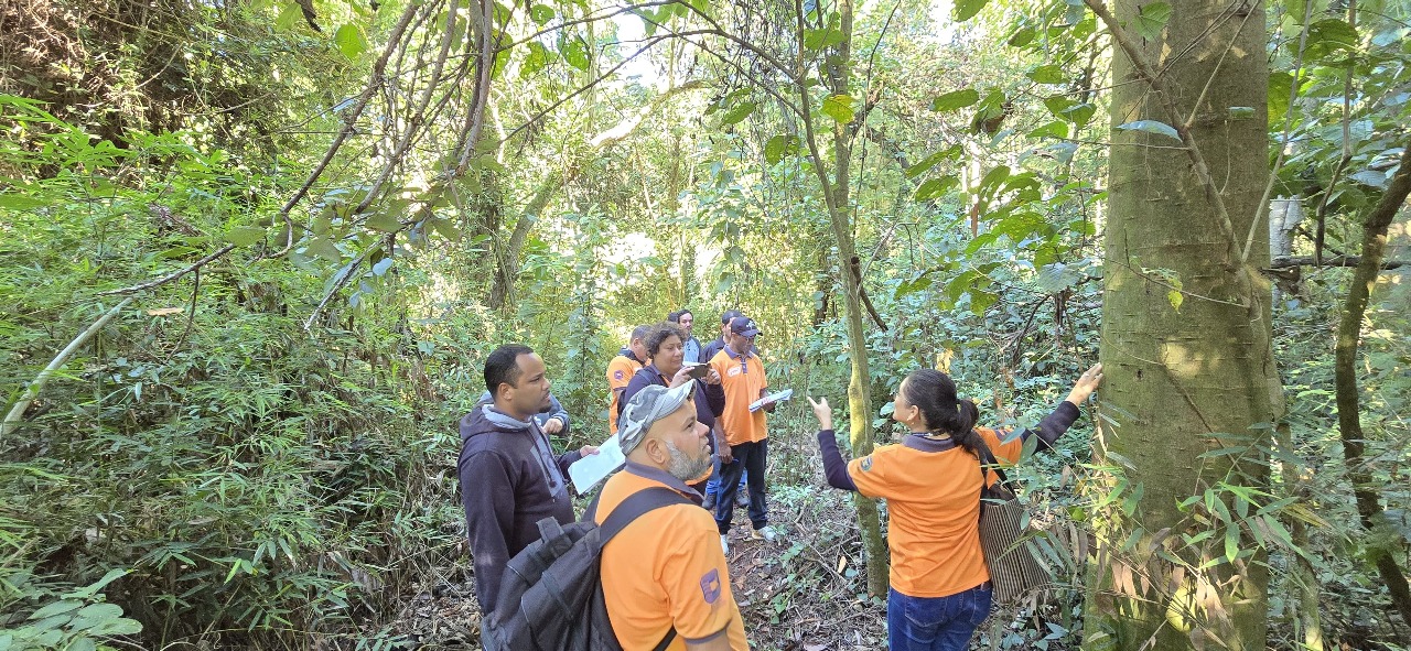 Estudantes conhecem possibilidades de uso de espécies nativas em projetos paisagísticos