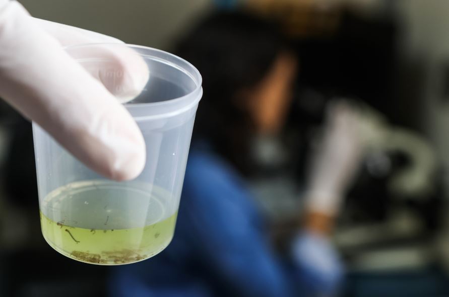 Evitar água parada é principal forma de combate ao mosquito Aedes aegypti