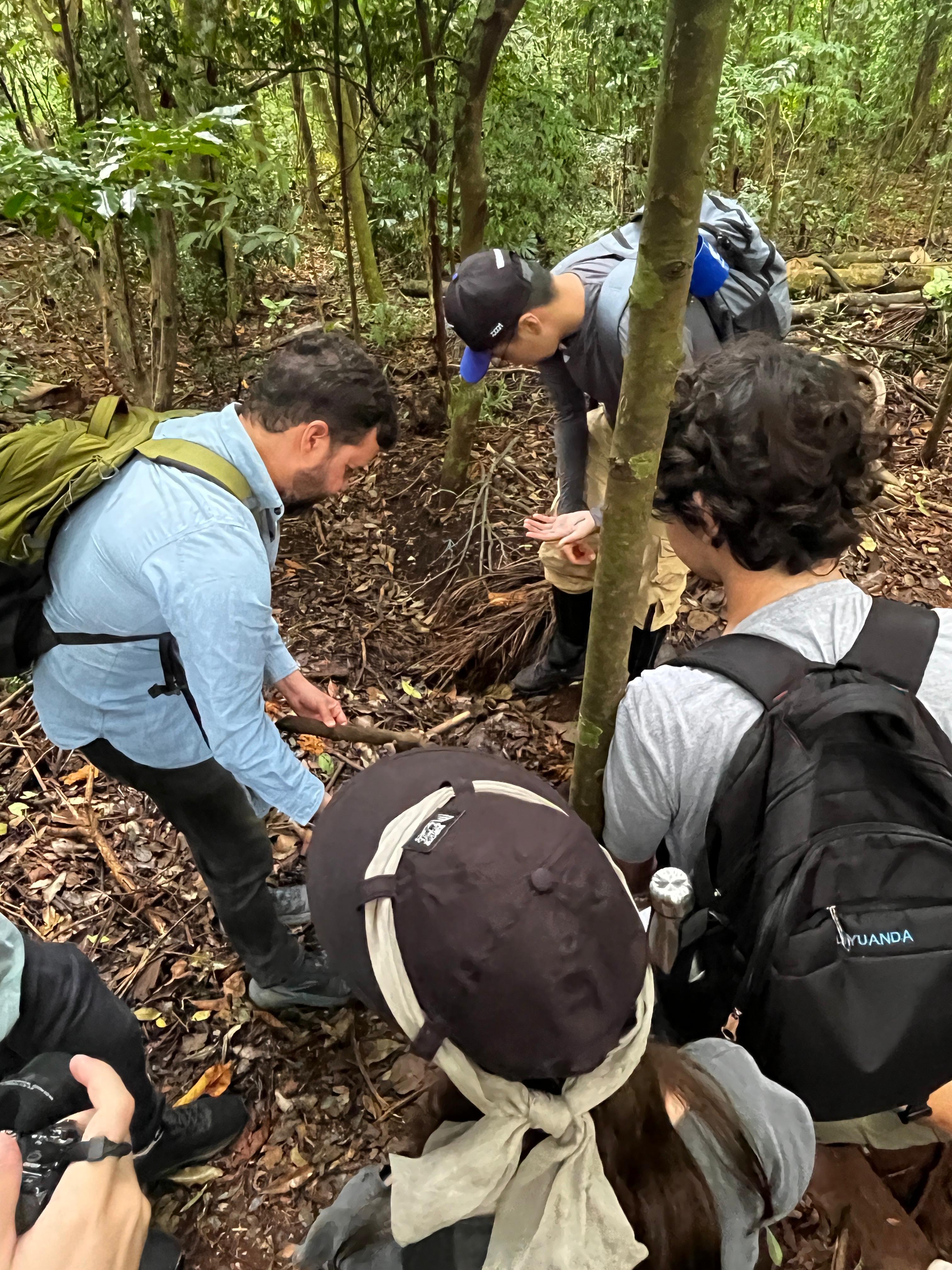 Alunos realizam observações e elaboram hipóteses no local