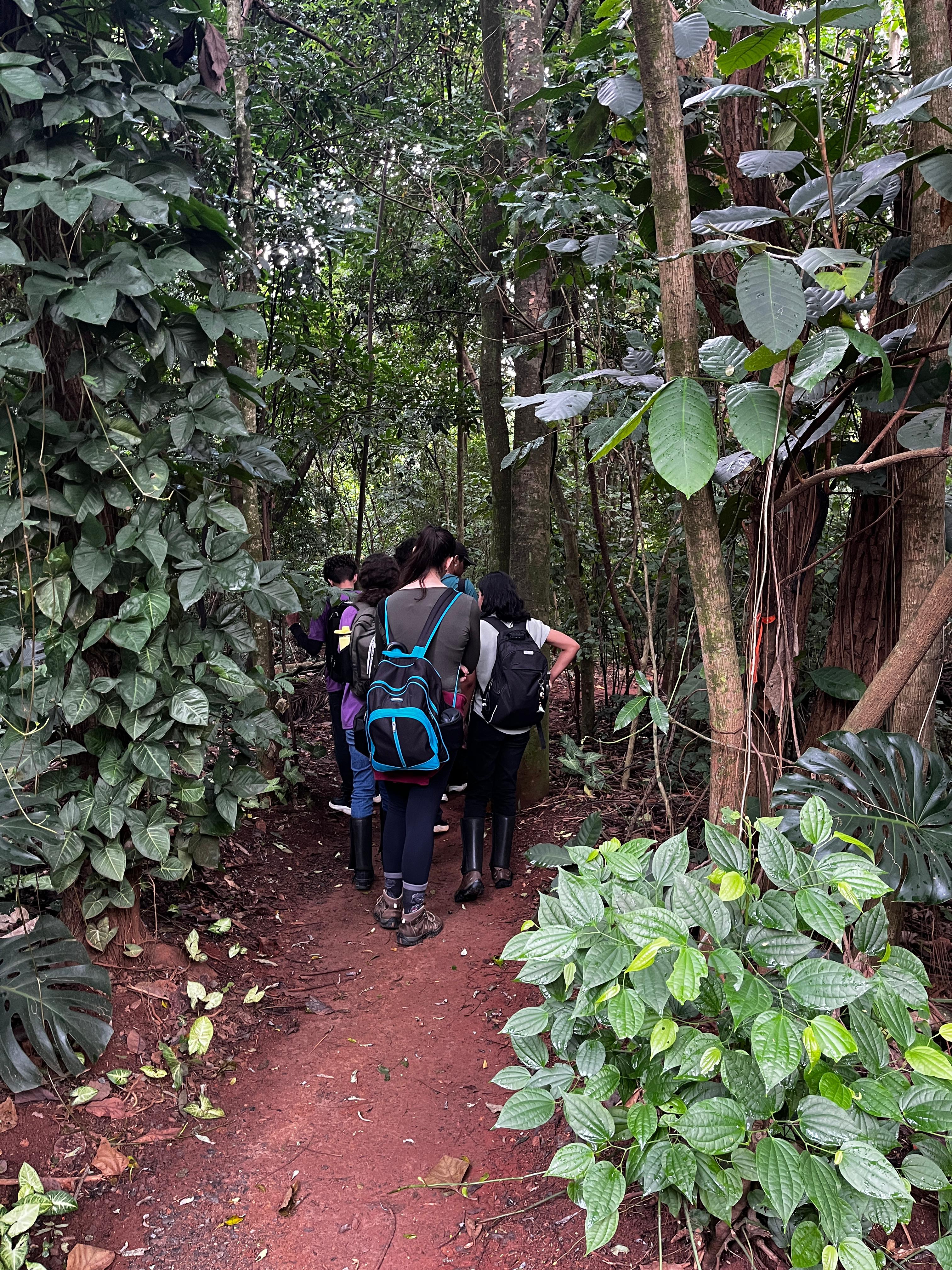 Muitos alunos não são de Campinas e desconheciam a Mata