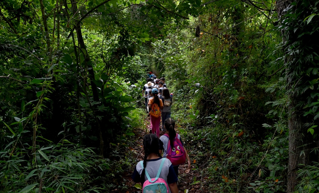 Passeios na Mata, agendados e acompanhados por escolas, despertam nas crianças, desde cedo, o amor pela natureza