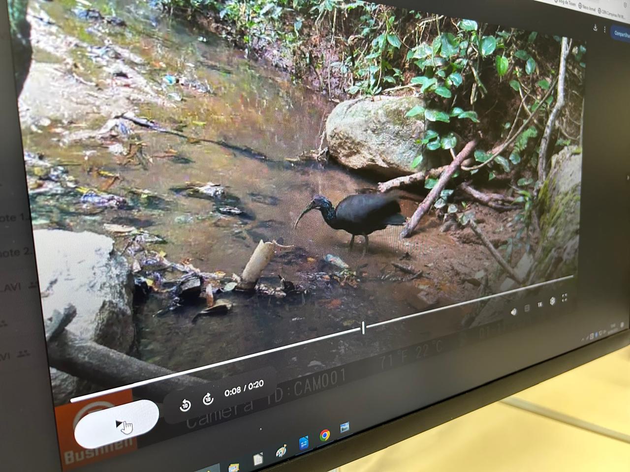 As informações levantadas irão contribuir para o desenvolvimento de ações de conservação na Serra D'água e na região