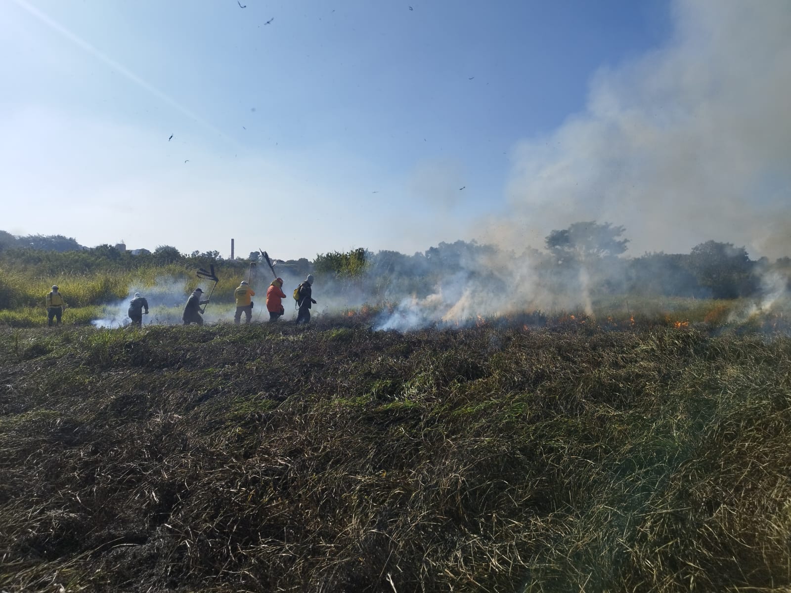 Os participantes receberam conteúdo teórico e prático sobre equipamentos e ferramentas de combate aos incêndios, comportamento do fogo, formação e organização de brigadas, técnicas de combate a incêndios florestais e exercícios práticos de campo
