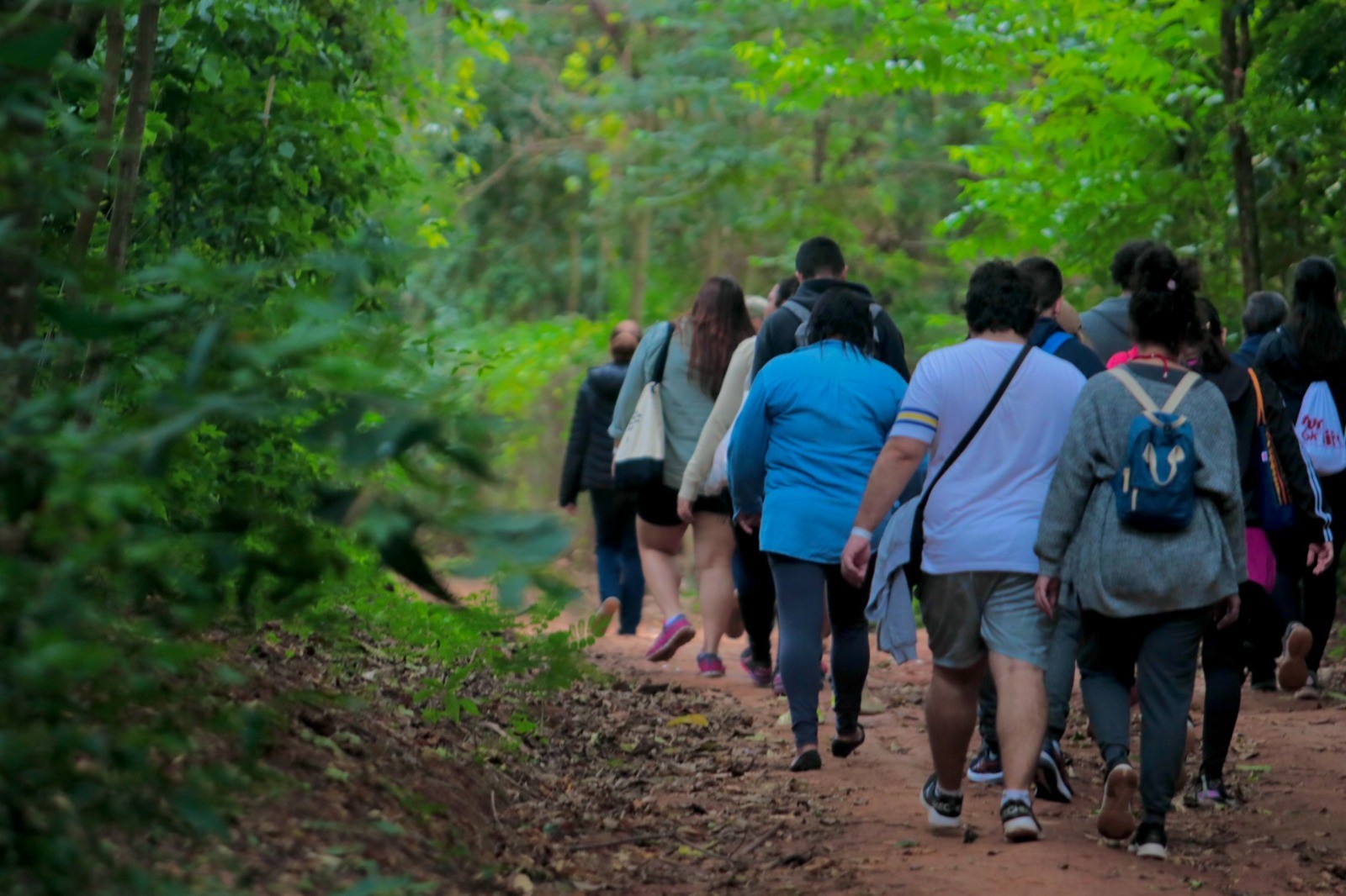 Grupo percorre cerca de 5 quilômetros ao redor da Mata de Santa Genebra em atividade com duração média de 1h30