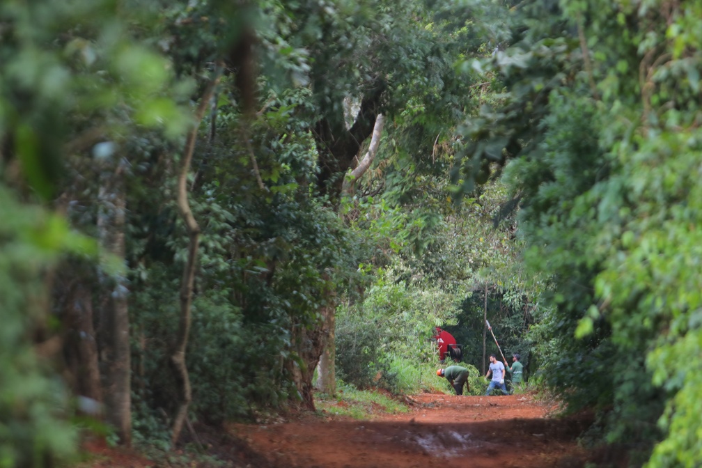 O Dia Nacional da Mata Atlântica, em 27 de maio, destaca a importância desse bioma que é um dos mais ricos do mundo em biodiversidade e também um dos mais ameaçados