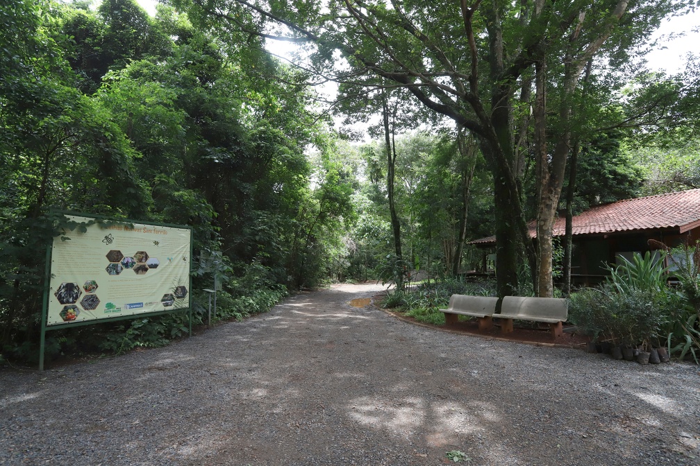 Na “Farmácia na Floresta”, os interessados aprendem sobre plantas medicinais.