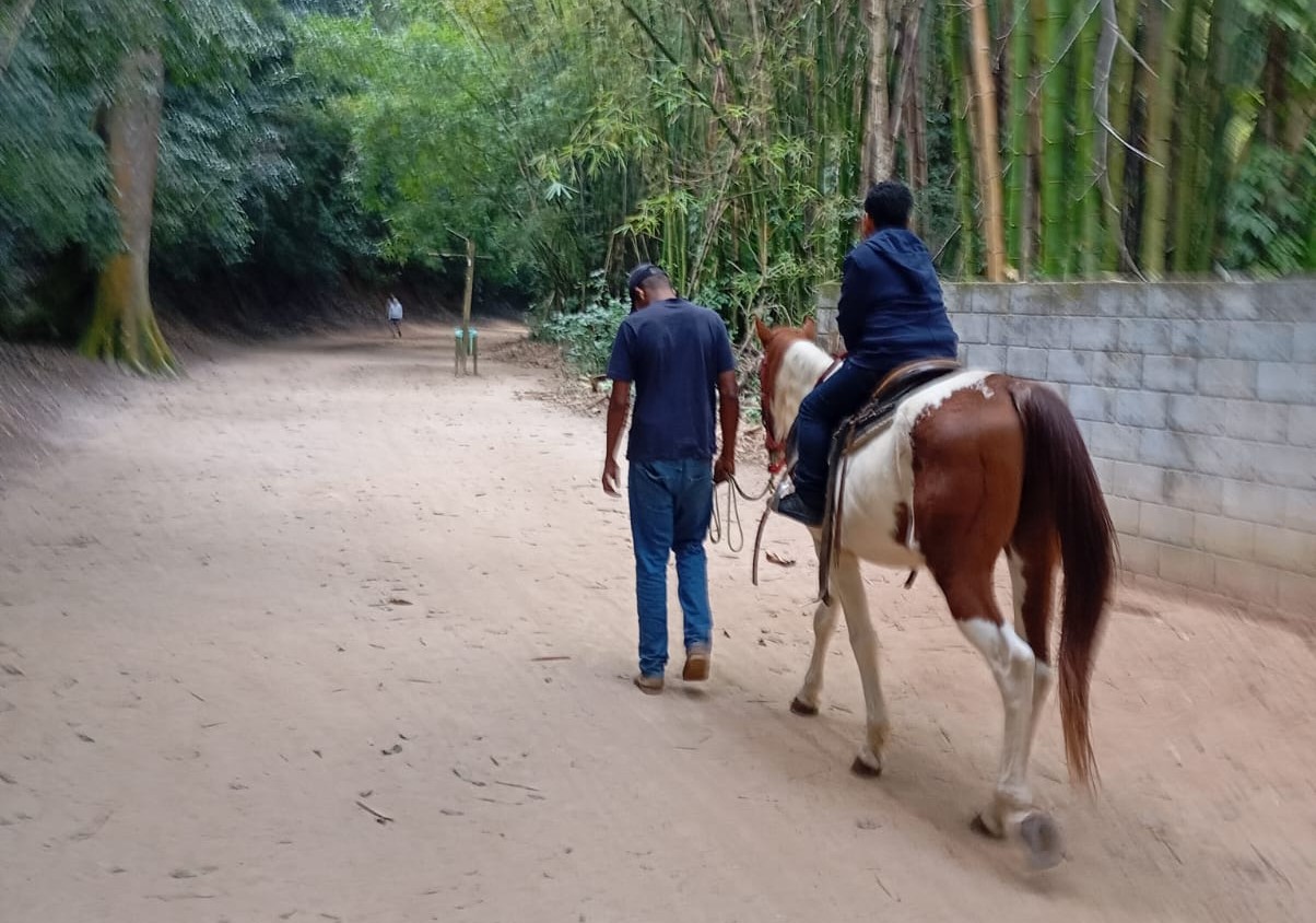 As novas experiências proporcionadas pela família do apadrinhamento afetivo incluíram um passeio a cavalo, a ida ao circo e a tentativa, frustrada mas divertida, de soltar pipas em um sábado de ventania