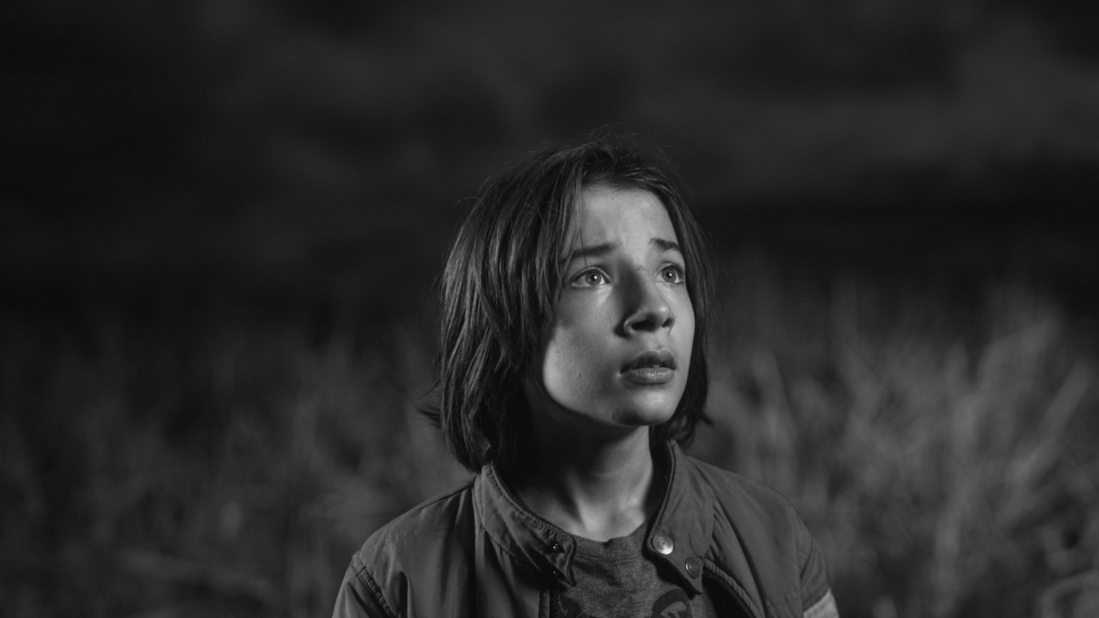 Produção é marcada pela valorização do cinema independente e do gênero fantástico