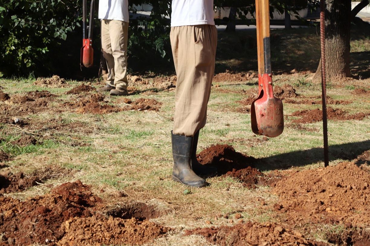 Equipe trabalhando no plantio de mudas na manhã desta terça-feira, 3