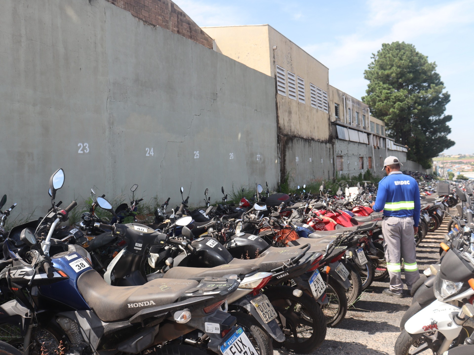 São quase 600 veículos em oferta, entre carros, sucatas e materiais para reciclagem