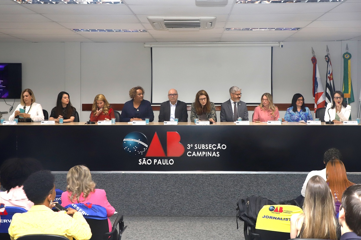 Todos os participantes ressaltaram a importância de medidas integradas entre diversos setores, para oferecer proteção integral à mulher 
