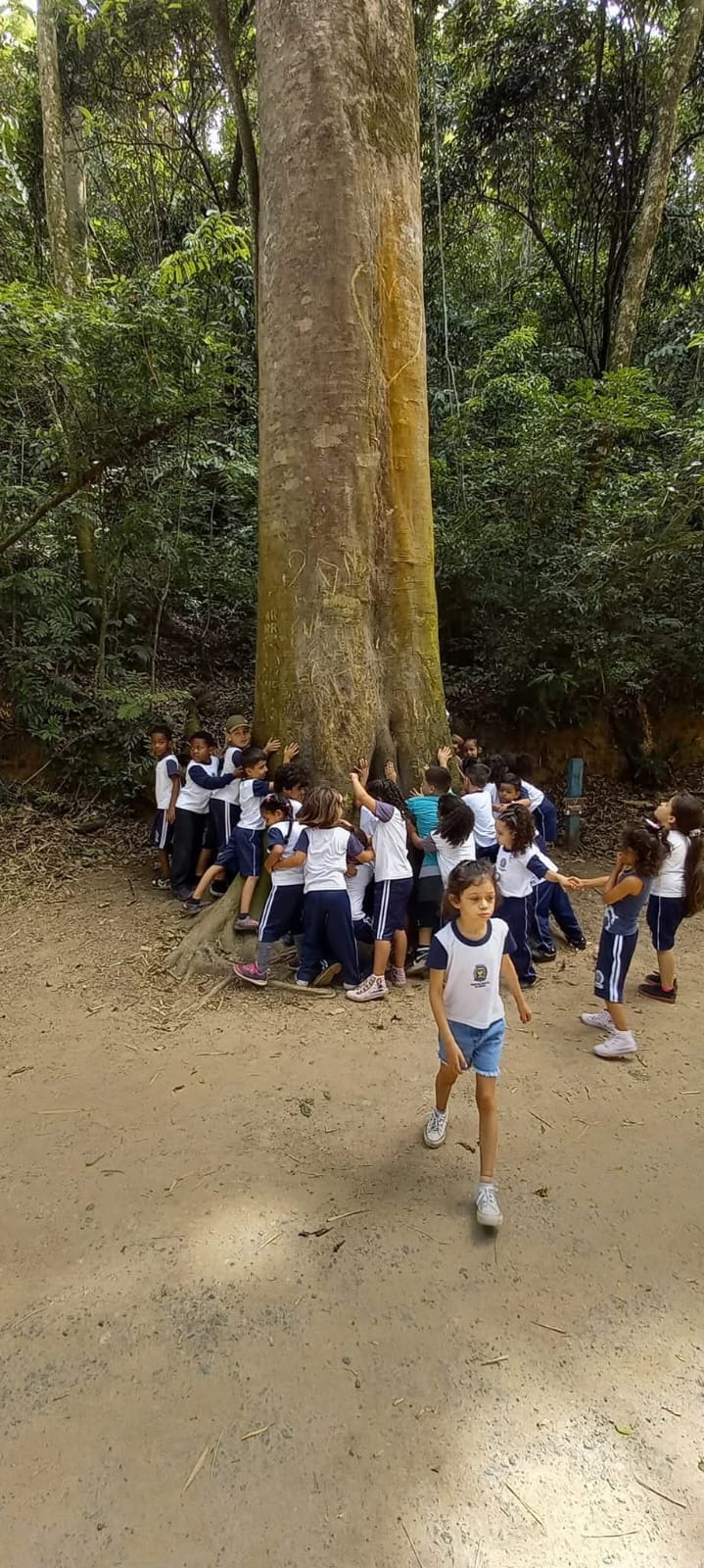 Programa vai apoiar professor a levar o tema das mudanças climáticas para a sala de aula de forma contextualizada e conectada com a realidade dos alunos