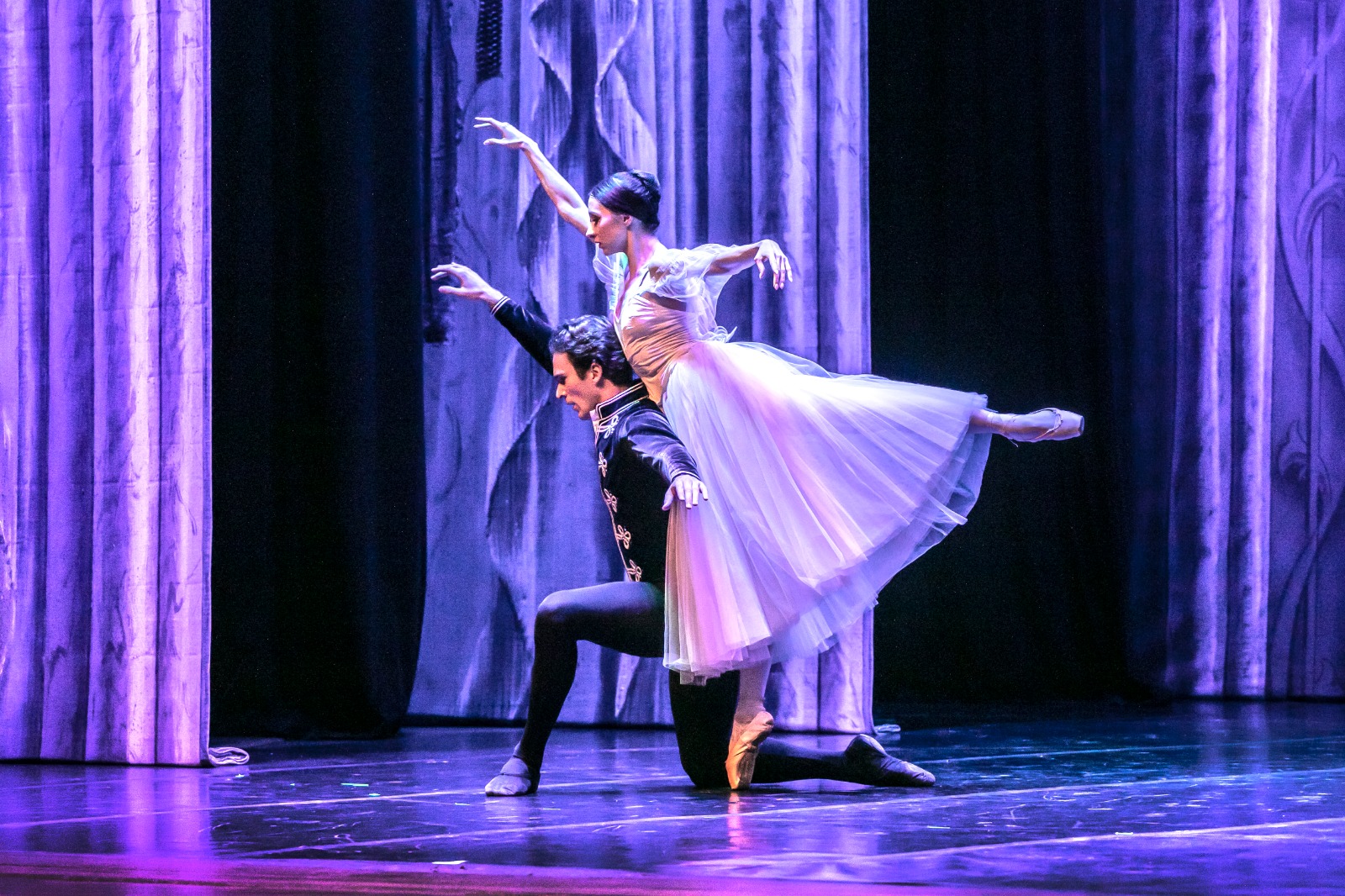 Programação abrange a excelência técnica, a expressividade artística e a riqueza histórica da dança