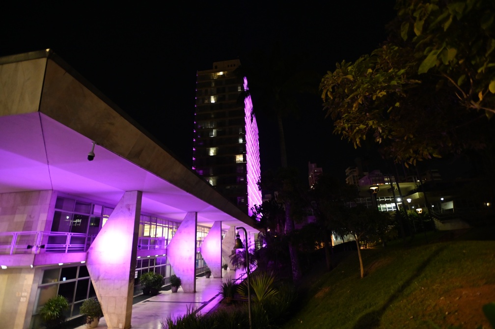 Durante o Agosto Lilás, campanha nacional de conscientização e combate à violência doméstica e familiar contra a mulher, o serviço ganha ainda mais visibilidade 