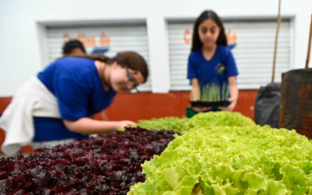 Projeto incentiva escolhas mais saudáveis sem impor restrições