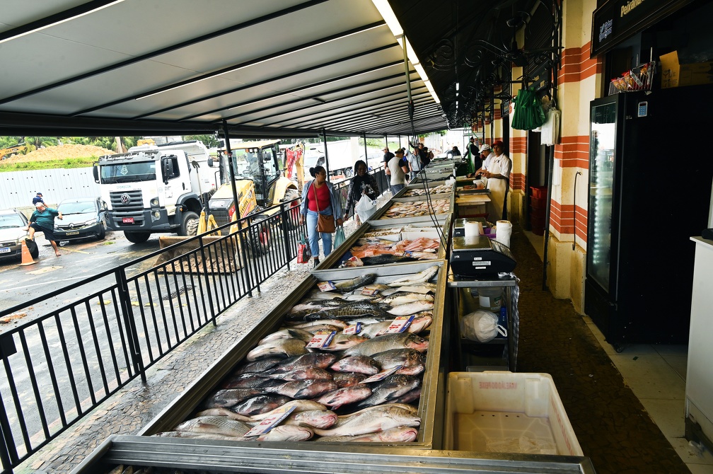 Os peixes mais procurados são sardinha, pacu, corvina, tilápia, filé de tilápia, filé de salmão e merluza