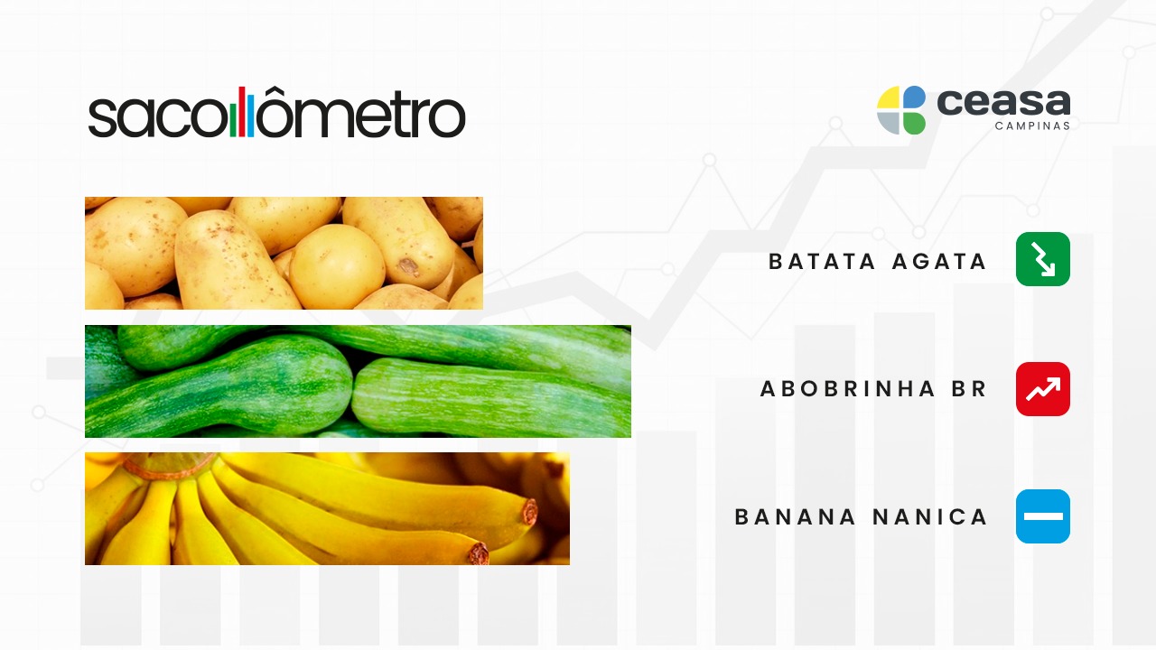 Série “Sacolômetro” da Ceasa Campinas apresenta o comportamento do mercado toda semana, ajudando produtores a decidir estratégias de negócios e cozinheiros a planejar cardápios